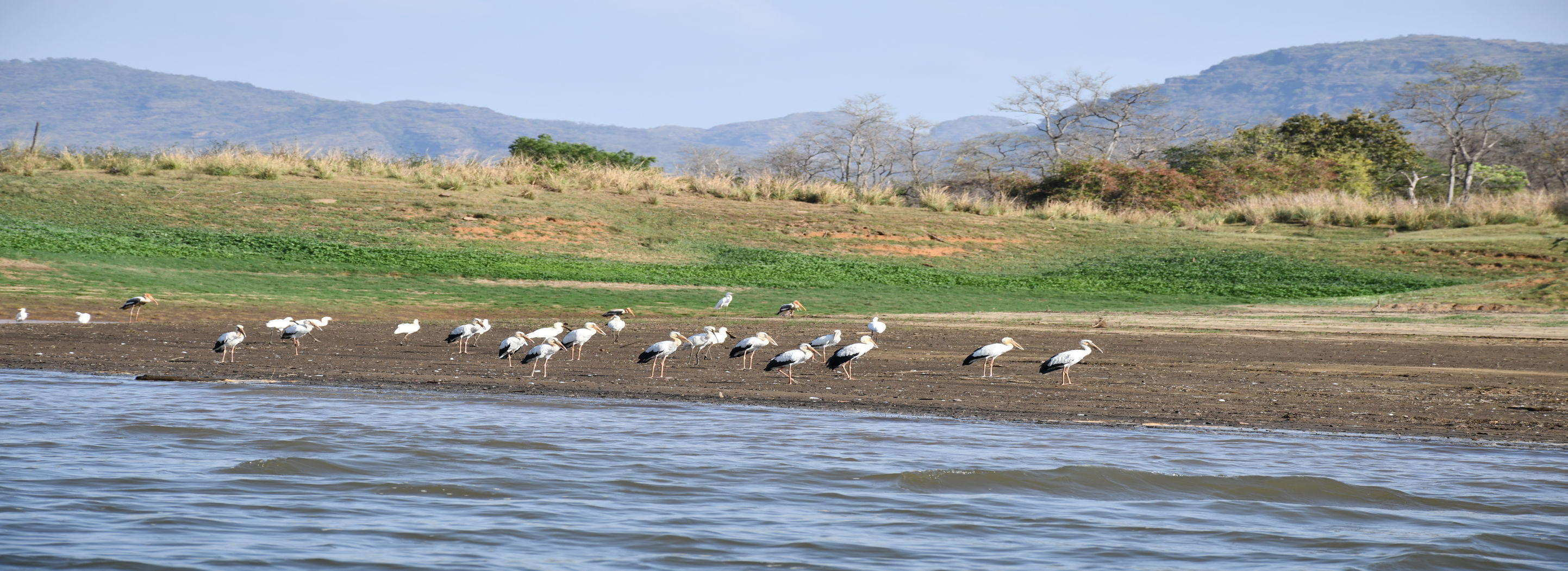 Tawa Ramsar Site