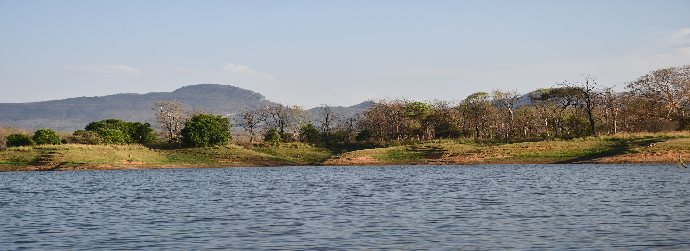Tawa Ramsar Site
